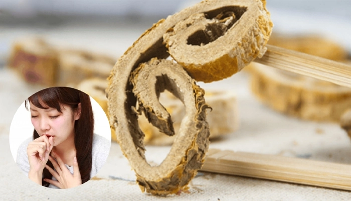 Tang Bạch Bì Có Tác Dụng Gì Với Phổi? Công Dụng, Cách Dùng Và Lưu Ý An Toàn