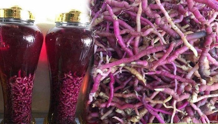 Ba Kích Tím Và Ba Kích Trắng: Phân Biệt Chi Tiết, Công Dụng Và Cách Sử Dụng