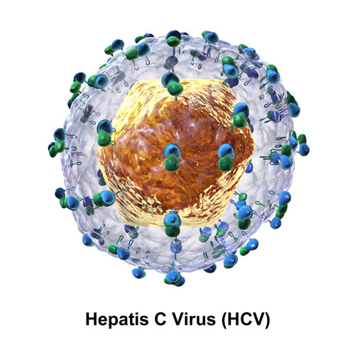 Virus gây bệnh Viêm gan C