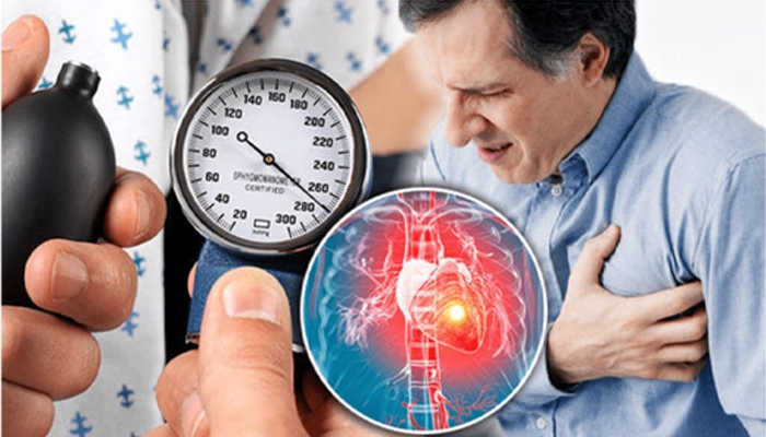 Cam Thảo Trong Đông Y: Công Dụng Thực Tế Và Cách Dùng An Toàn