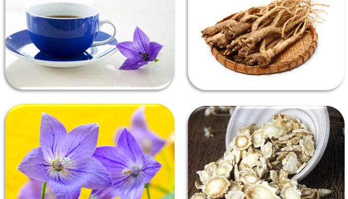 Tác Dụng Của Cát Cánh Đối Với Sức Khỏe Và Đường Hô Hấp