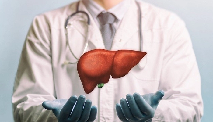 Đan Sâm Là Gì? 12 Tác Dụng Nổi Bật Và Lưu Ý Khi Sử Dụng