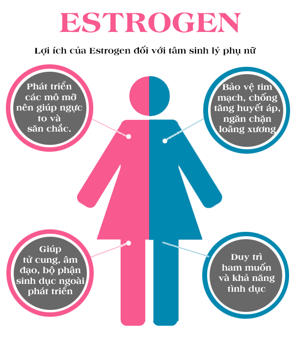 Estrogen là hormon rất quan trọng đối với tâm sinh lý phụ nữ