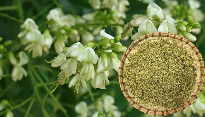 Tác Dụng Của Hòe Hoa: Giảm Mỡ Máu, Bảo Vệ Tim Mạch, Ngăn Đột Quỵ