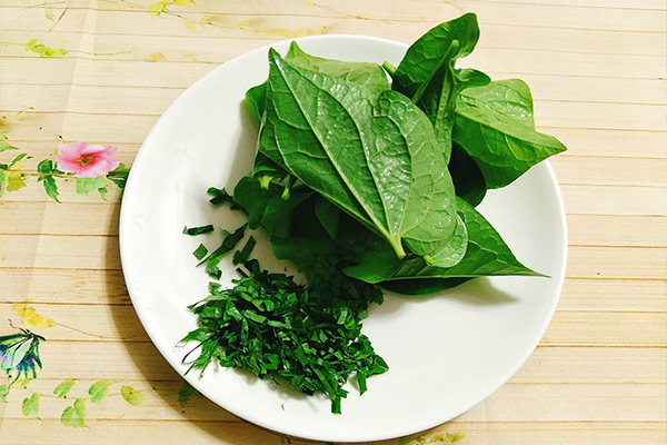 Kiên trì sử dụng lá lốt các cơn đau nhức xương khớp sẽ thuyên giảm 