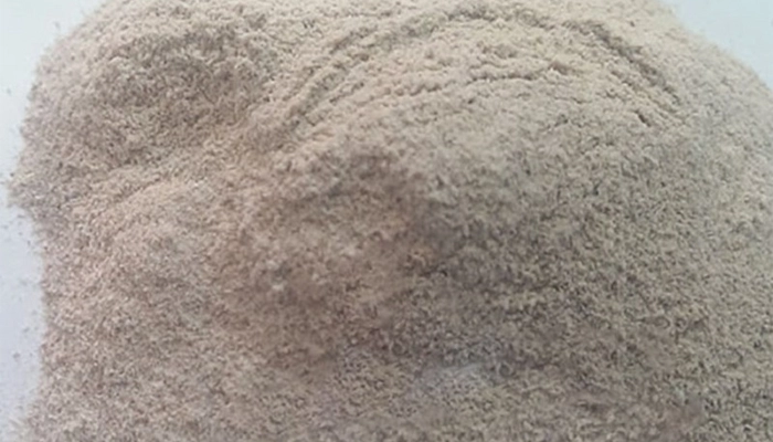 Mẫu Lệ là gì? Dược Liệu Vỏ Hàu – Tác Dụng Cố Tinh, Chữa Viêm Loét và Cách Dùng