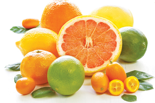 Cam quýt bưởi giàu Vitamin C rất tốt cho sữa mẹ