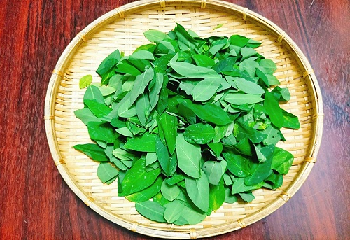 Rau ngót tốt cho phụ nữ sau sinh