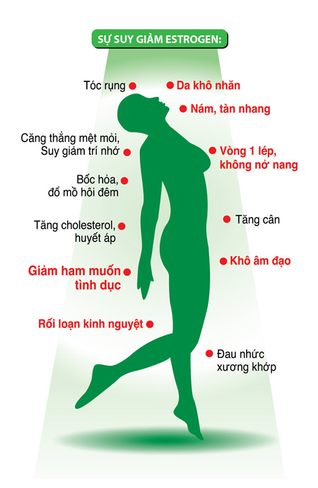 Sự suy giảm Estrogen do tiền mãn kinh gây ra