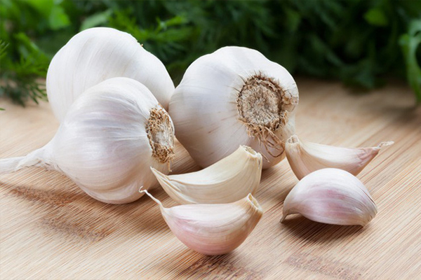 Tỏi thúc đẩy tuần hoàn lưu thông máu, hỗ trợ điều trị giãn tĩnh mạch hiệu quả