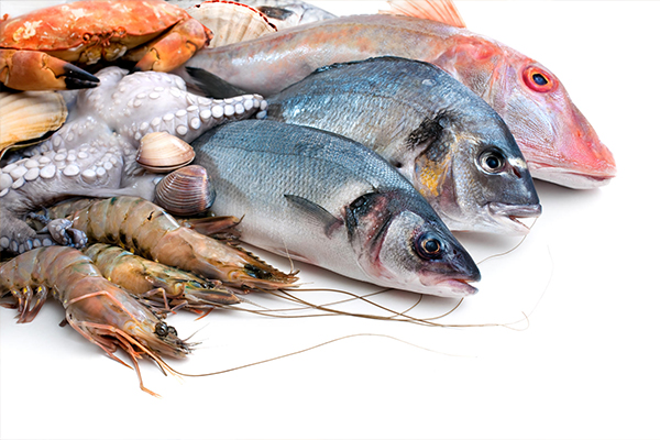 Hải sản giàu omega 3 tốt cho trí não và tim mạch 