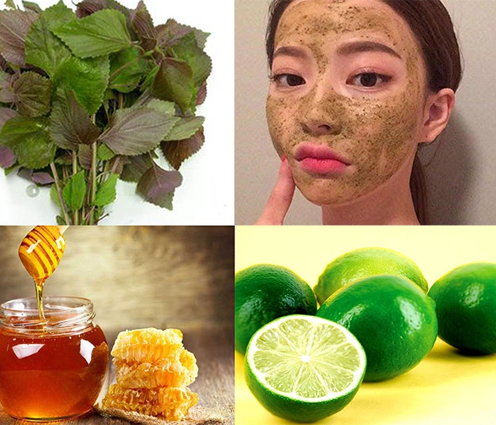 tác dụng của tía tô trong đông y và đời sống hằng ngày