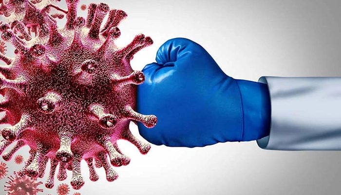 Cam Thảo Trong Đông Y: Công Dụng Thực Tế Và Cách Dùng An Toàn