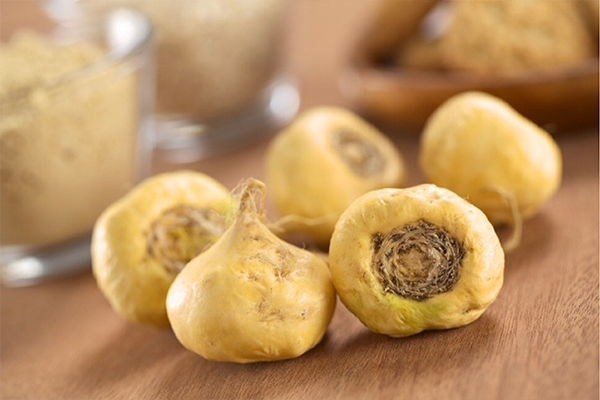 Củ Maca giúp nam giới sung mãn và bền bỉ trong mọi cuộc yêu 