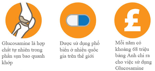 Hiện nay việc sử dụng glucosamine ngày càng trở nên phổ biến 