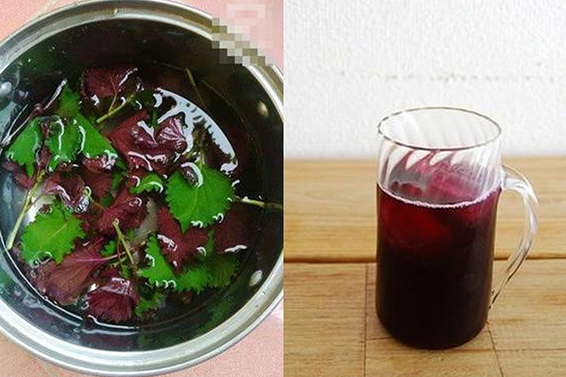 Giải Đáp Thắc Mắc: Uống Nước Lá Tía Tô Có Tác Dụng Gì? Uống nước lá tía tô có tác dụng giảm cân, giảm mỡ