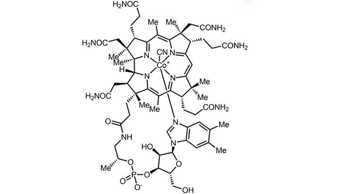 Thừa Vitamin B12: Hiểm Họa Âm Thầm Bạn Không Ngờ Tới