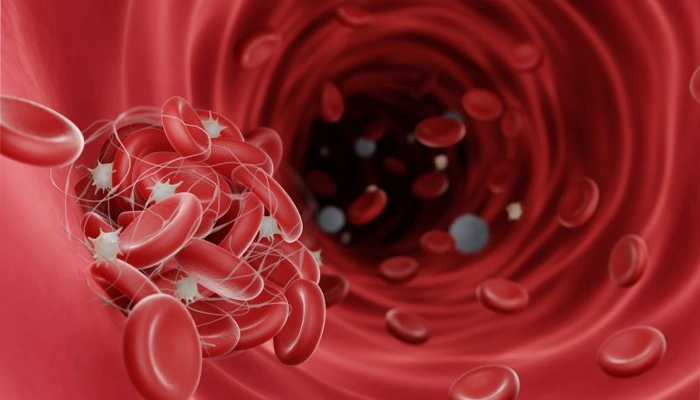 Thừa Vitamin E Có Thể Nguy Hiểm Hơn Bạn Nghĩ?