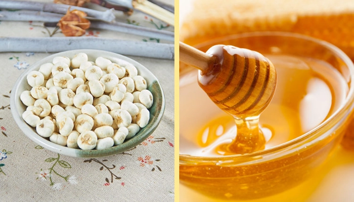 Xuyên Bối Mẫu – Vị Thuốc Âm Thầm Bảo Vệ Lá Phổi Khỏi Ho Và Đờm