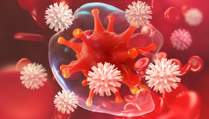 Xuyên Tâm Liên Là Gì? Lợi Ích Sức Khỏe Và Lưu Ý Khi Sử Dụng