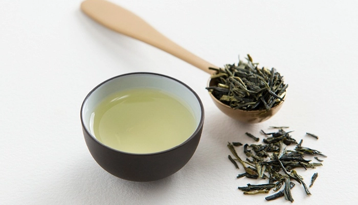 Xuyên Tâm Liên Là Gì? Lợi Ích Sức Khỏe Và Lưu Ý Khi Sử Dụng